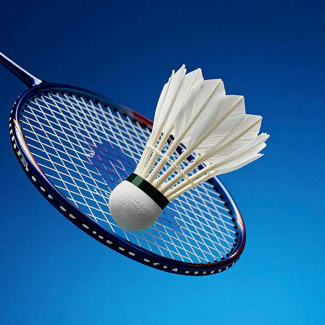 China's Two-Gold Badminton Target at the 2026 Asian Games: Reading the Submerged Half of an Announcement China's Two-Gold Badminton Target at the 2026 Asian Games: Reading the Submerged Half of an Announcement