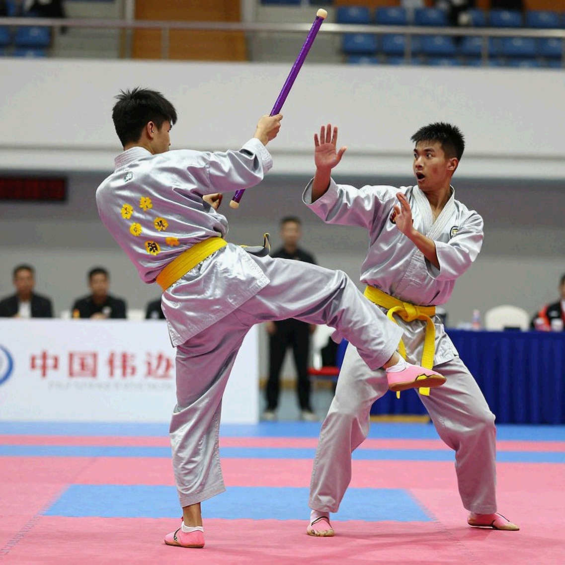 Khoảng trống dữ liệu của võ thuật Việt Nam: huy chương thì có, hồ sơ thi đấu thì không