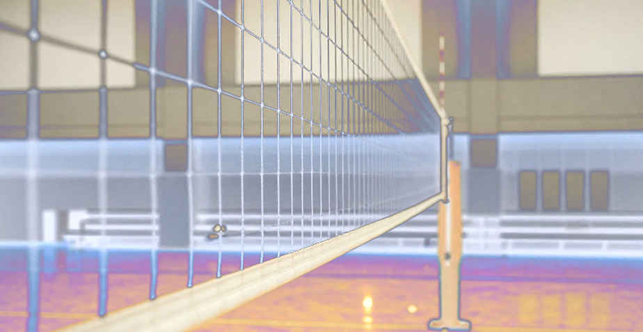 Volleyball and the Empty Tables: When the Data Foundation Falls Silent Volleyball and the Empty Tables: When the Data Foundation Falls Silent