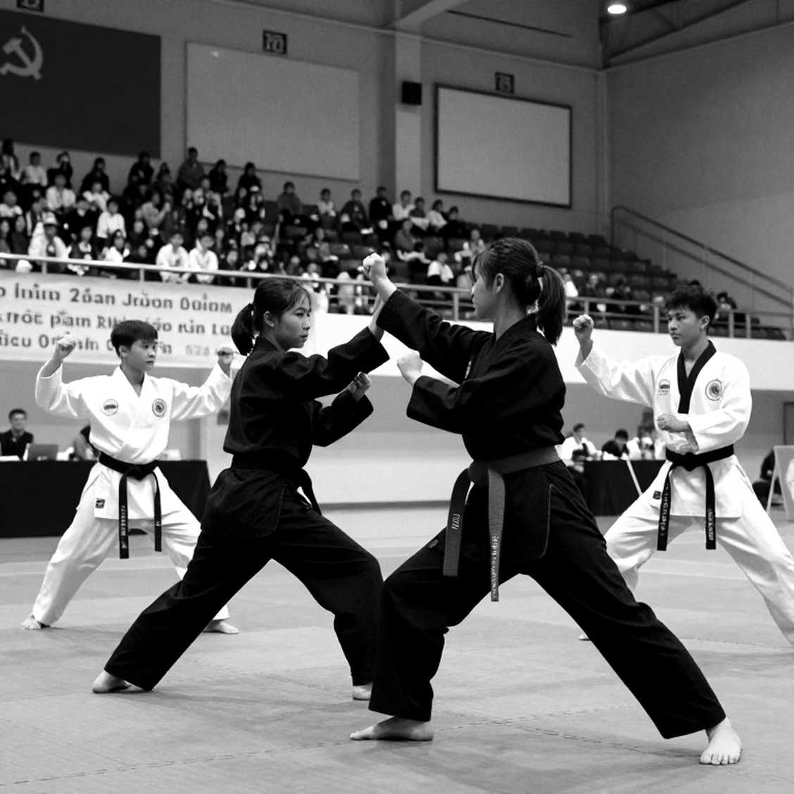 Vietnamese Martial Arts at a Crossroads: When the Arena Needs a Soul