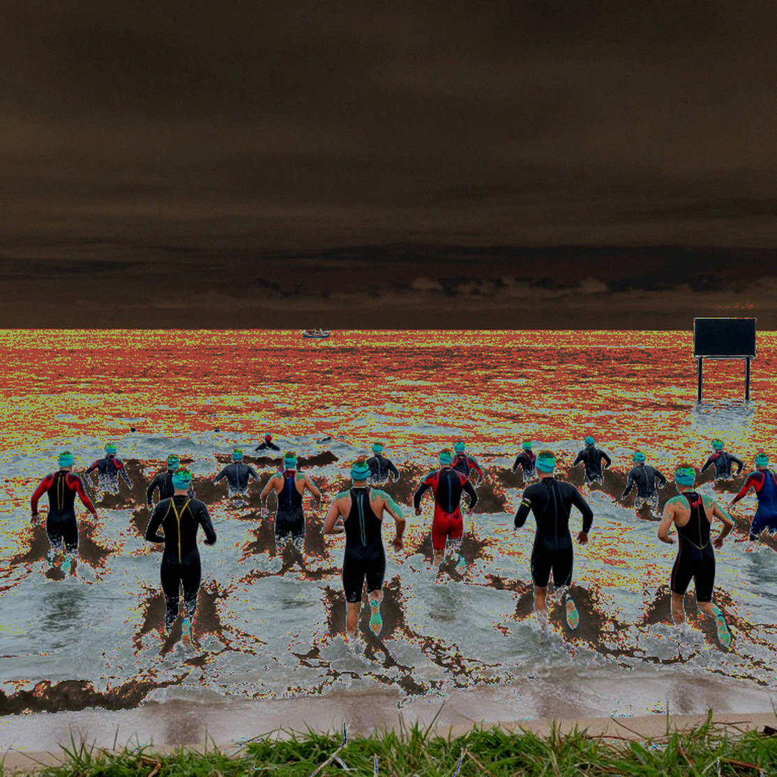 College Swimming League mùa đầu: bốn đội bơi và một hệ thống đang tự viết luật chơi của mình College Swimming League mùa đầu: bốn đội bơi và một hệ thống đang tự viết luật chơi của mình
