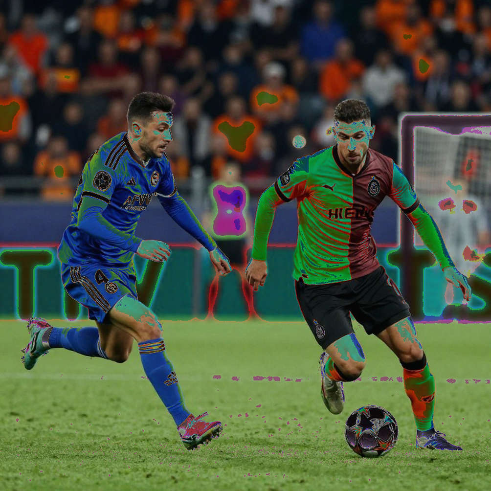 When Football Is No Longer Football: Lessons From a Data Misclassification